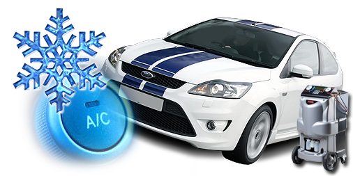 blandford-forum-dorset